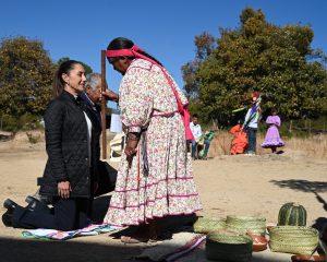 Propiedades a pueblos originarios