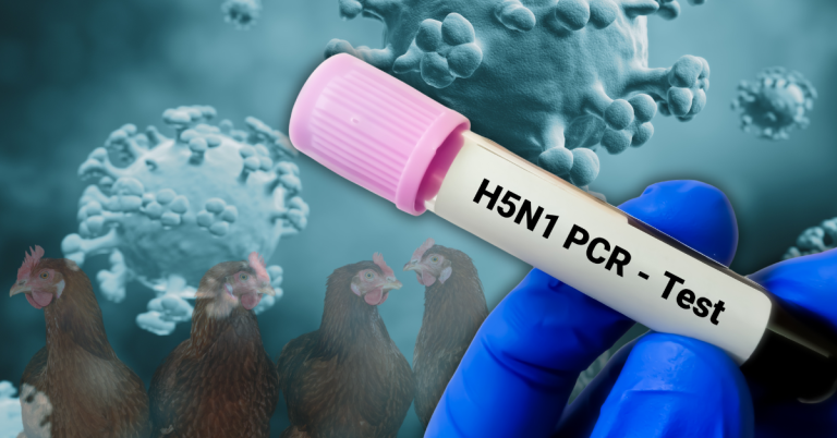 California declara estado de emergencia por gripe aviar H5N1