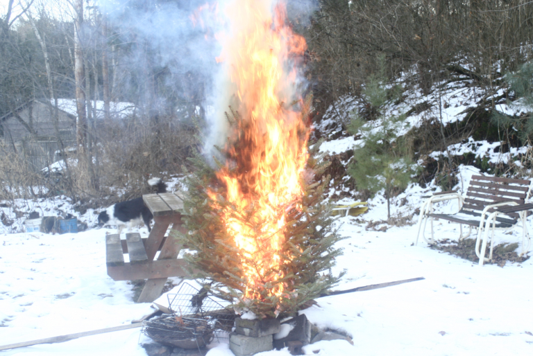 Autoridades llaman a prevenir incendios de árboles navideños