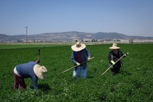 Migrantes mexicanos en Estados Unidos