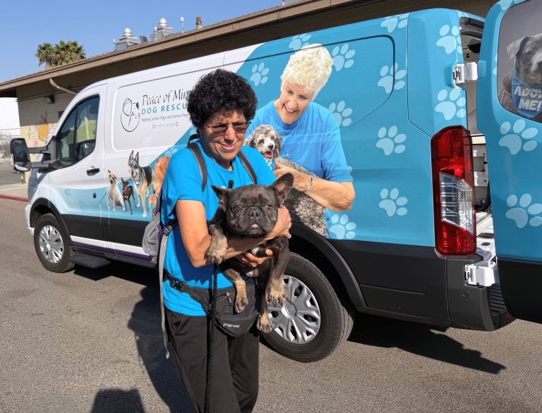 Bay Area shelters take in pets from Los Angeles County left homeless by wildfires