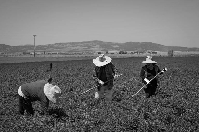 Aumentan crímenes de odio hacia minorías étnicas en zonas rurales de California