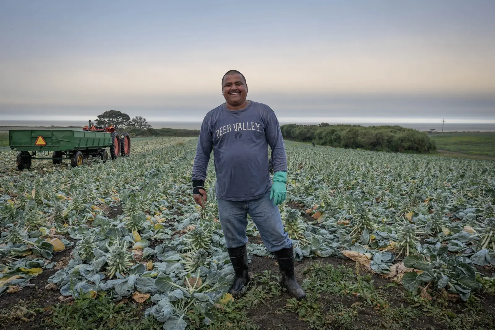 Como celebración a trabajadores agrícolas, durante esta semana, el Condado de San Mateo, la Oficina del Supervisor Ray Mueller y los socios comunitarios ofrecerán una variedad de eventos. Foto: Manuel Ortiz P360