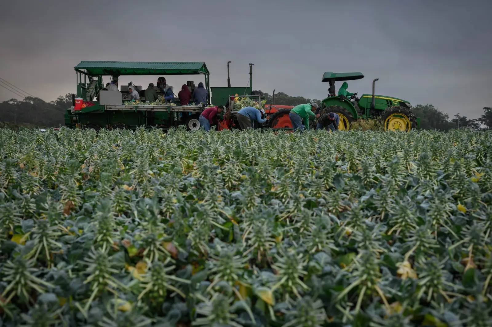 Condado de San Mateo celebra a trabajadores agrícolas, héroes que ponen comida en nuestras mesas