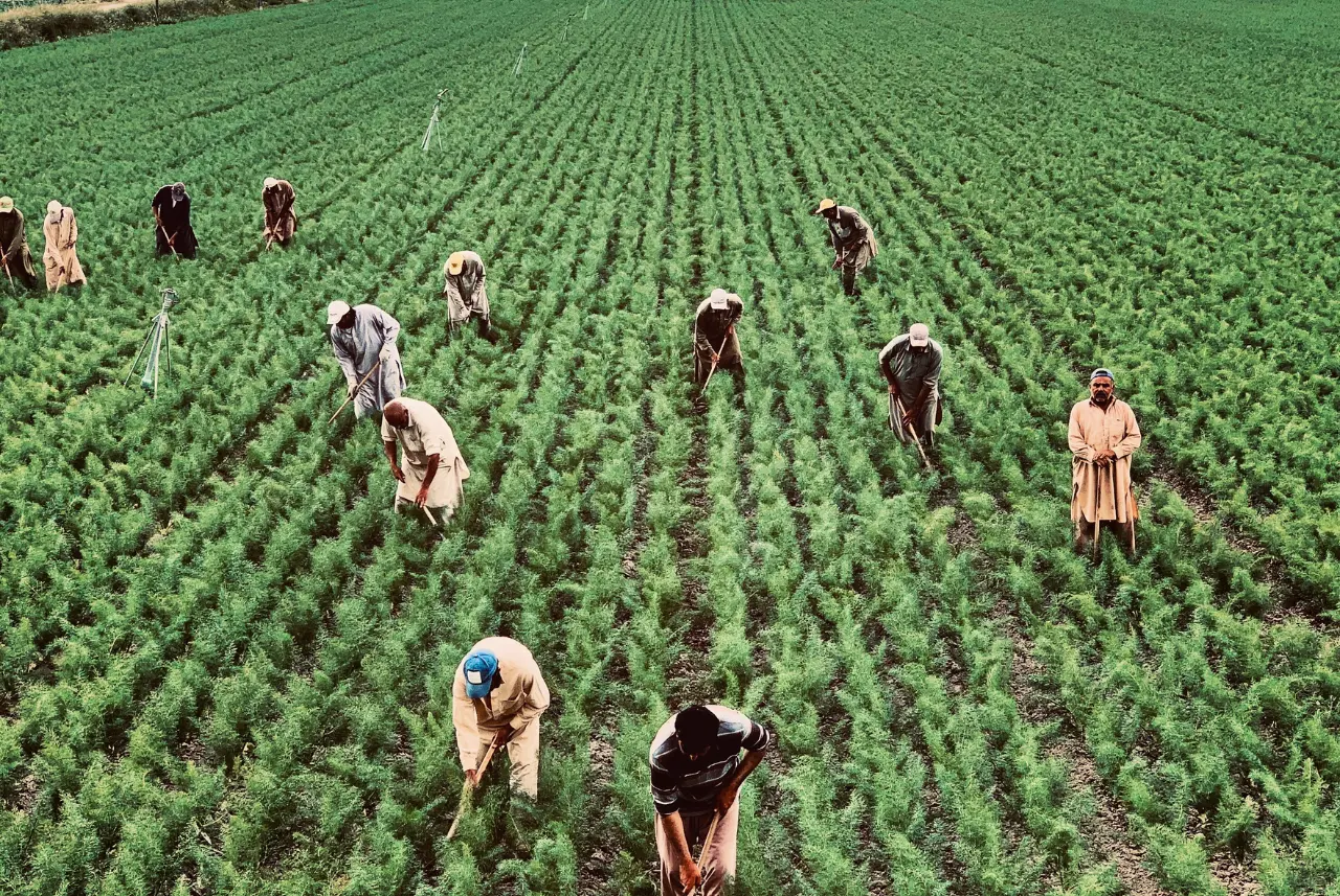 El Consulado General de México en San Francisco anunció la realización de la XVII edición de la Semana de Derechos Laborales, con el propósito de promover los derechos de las y los trabajadores migrantes.