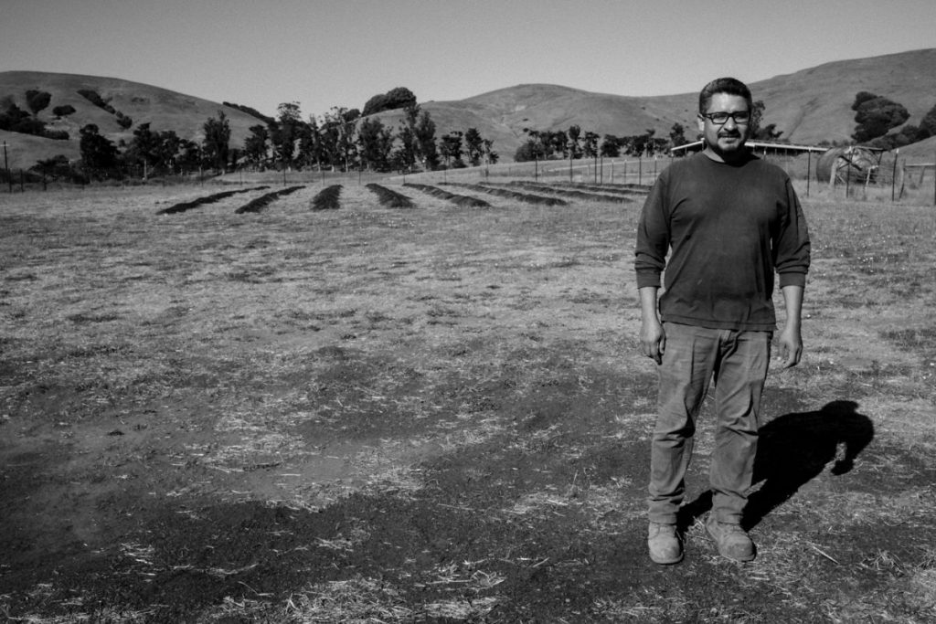 Martínez ha cuidado el terreno de una hectárea en Point Reyes-Petaluma, el proyecto se llama Sembrando Vida y es un lugar para sembrar alimentos.