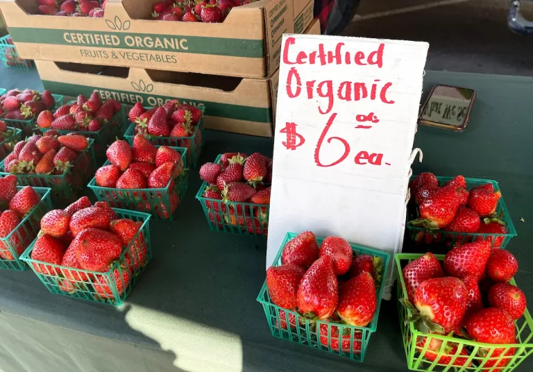 Organizaciones sin fines de lucro del Área de la Bahía recibirán millones en subvenciones federales para promover e investigar cultivos locales