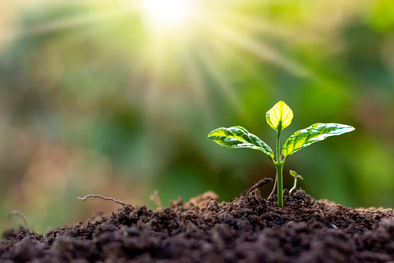Midpen anunció la apertura de la convocatoria 2025 de su Grantmaking Program para financiar proyectos enfocados en la conservación, el acceso a la naturaleza y la educación ambiental.