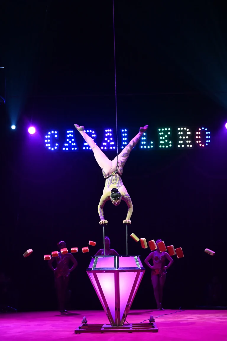 Hermanos Caballero: el circo mexicano está vivo con sangre de artistas jóvenes nacidos bajo la carpa