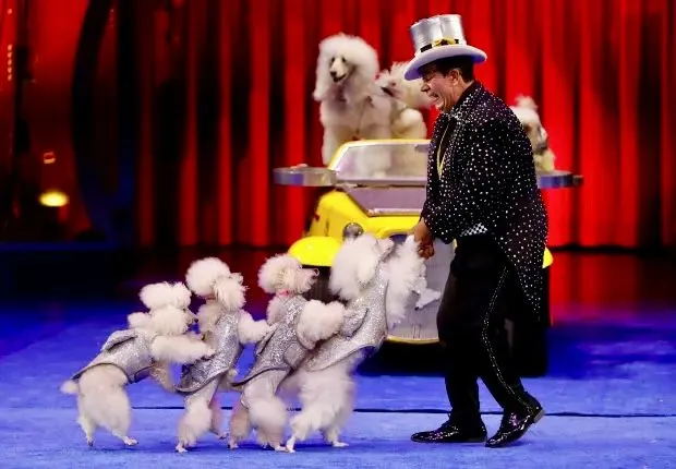 Rubén Caballero acompañado de perritos amaestrados.