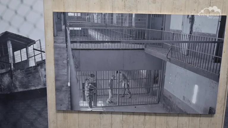 “El mundo debe de estar impactado”, chileno reflexiona sobre la victoria de Kast.