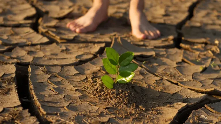 Comunidades del Área de la Bahía impulsan soluciones climáticas desde la base social