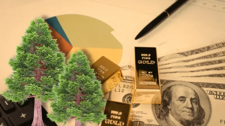 Redwood City inicia renovación histórica de Hoover Park con inversión de 11 millones de dólares