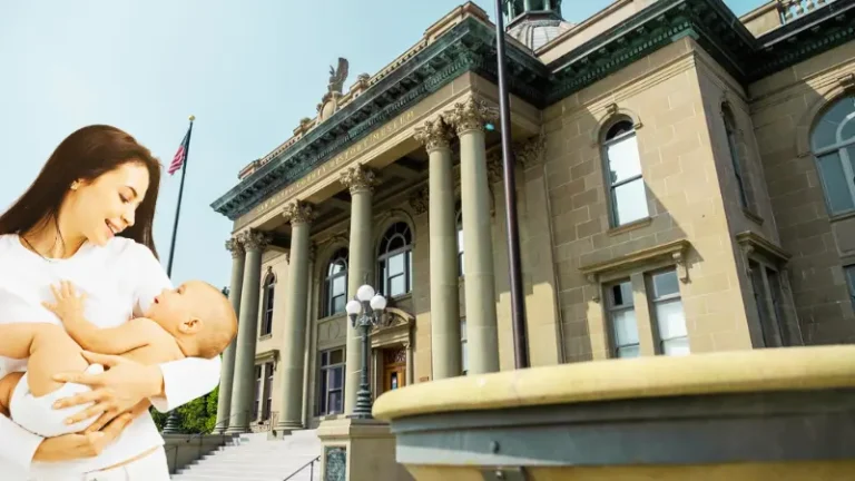 Museo de Historia de San Mateo celebrará a las mamás y aves migratorias con evento gratuito
