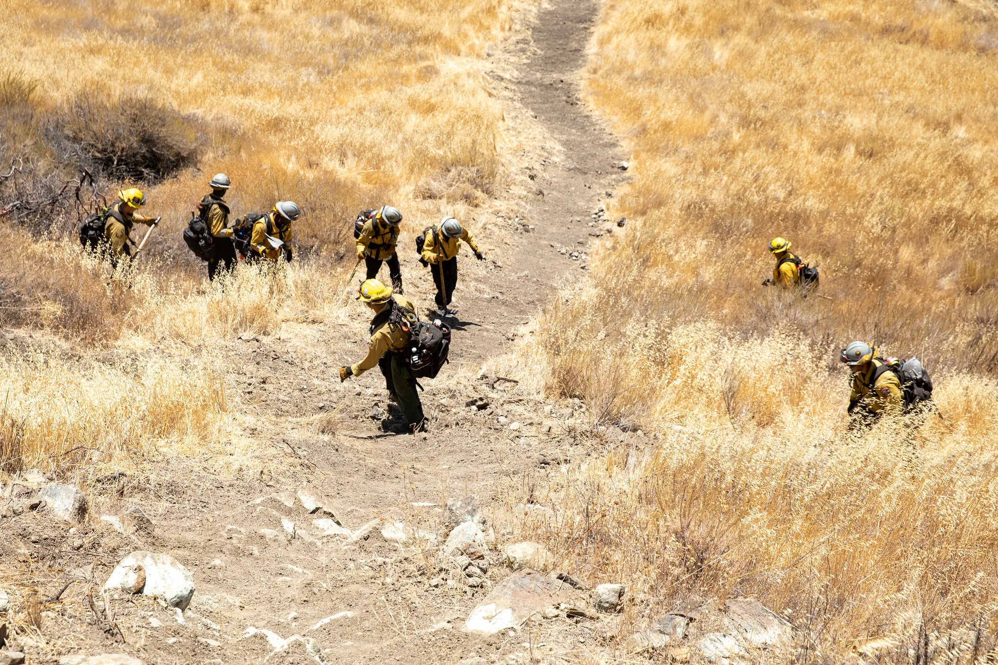 La campaña busca fortalecer la cultura de prevención en todo el estado, recordando que las acciones tomadas antes de un incendio pueden reducir pérdidas humanas, mejorar la respuesta de los equipos de emergencia y aumentar la capacidad de recuperación de las comunidades.