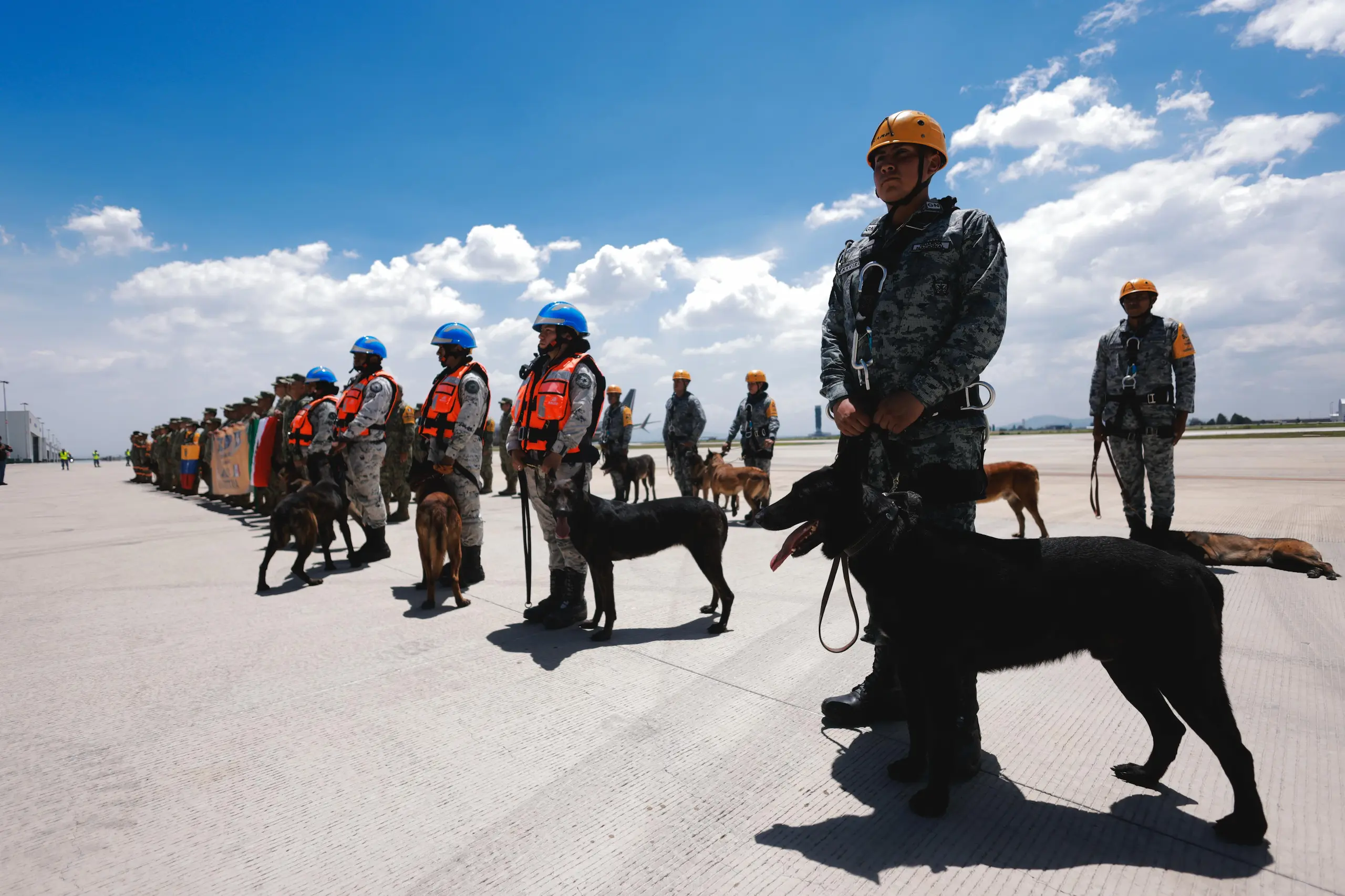 En Venezuela, el Ministerio del Poder Popular para Relaciones Exteriores informó que el país recibiría rescatistas internacionales para apoyar las labores de emergencia, luego de que distintos gobiernos ofrecieran asistencia humanitaria.
