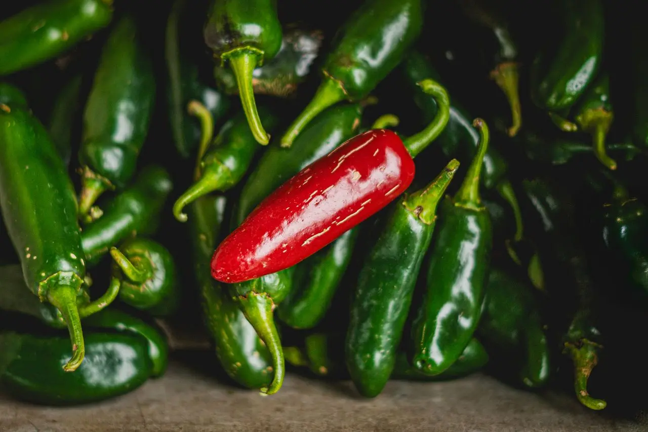 Un brote de salmonela vinculado a jalapeños ha enfermado a 345 personas en 27 estados, incluido California, y provocado 36 hospitalizaciones. Foto: pexels