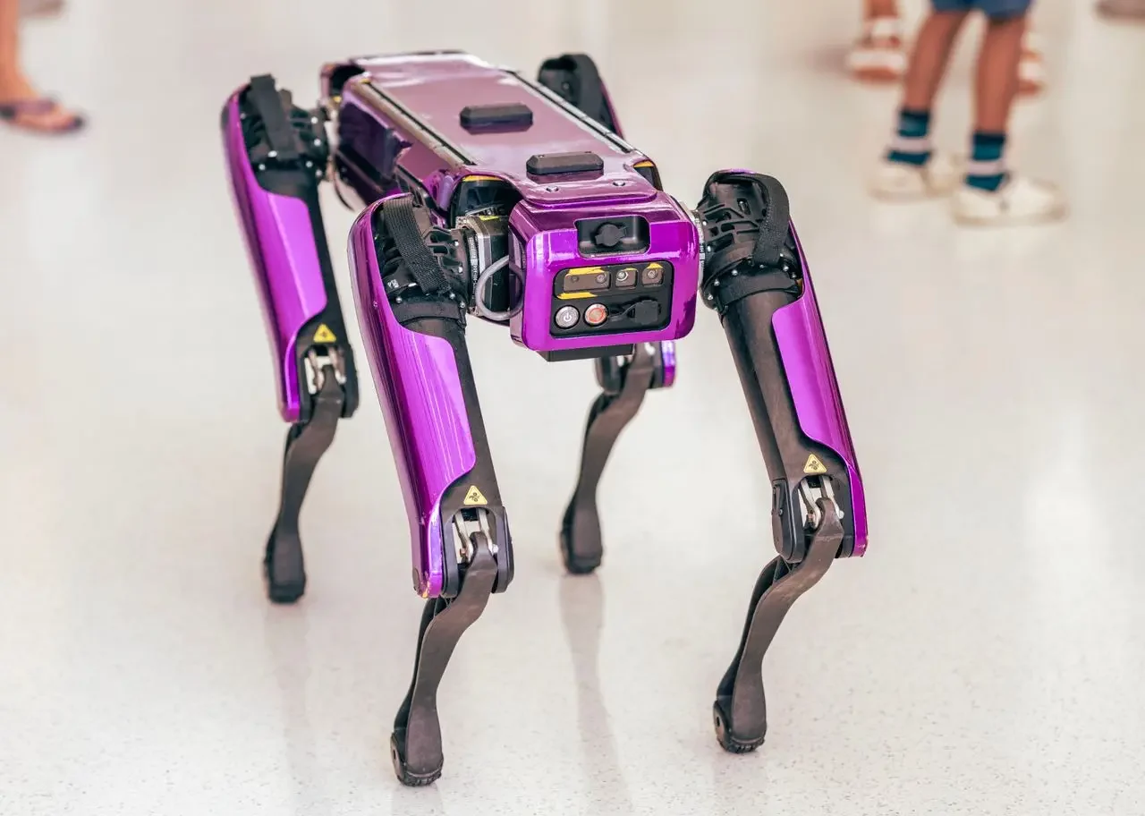 La Junta de Supervisores del Condado de San Mateo dio finalmente un paso para regular la llegada de robots autónomos a restaurantes, hoteles, comercios y otros centros de trabajo