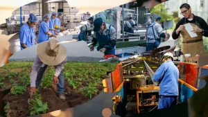 Mano de obra mexicana es una parte fundamental de la economía de Estados Unidos, los trabajadores de origen mexicano representaron 11.6 por ciento de todo el empleo estadounidense durante 2025, según un estudio del Centro de Estudios Monetarios Latinoamericanos, basado en datos de la Oficina del Censo de Estados Unidos.