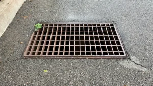 Cuidar coladeras ahora es una resposabilidad compartida, la iniciativa busca reducir inundaciones localizadas y evitar que los contaminantes lleguen a los arroyos; quienes participen deberán revisar la coladera dos veces al mes y registrar sus visitas en el sitio web del programa.